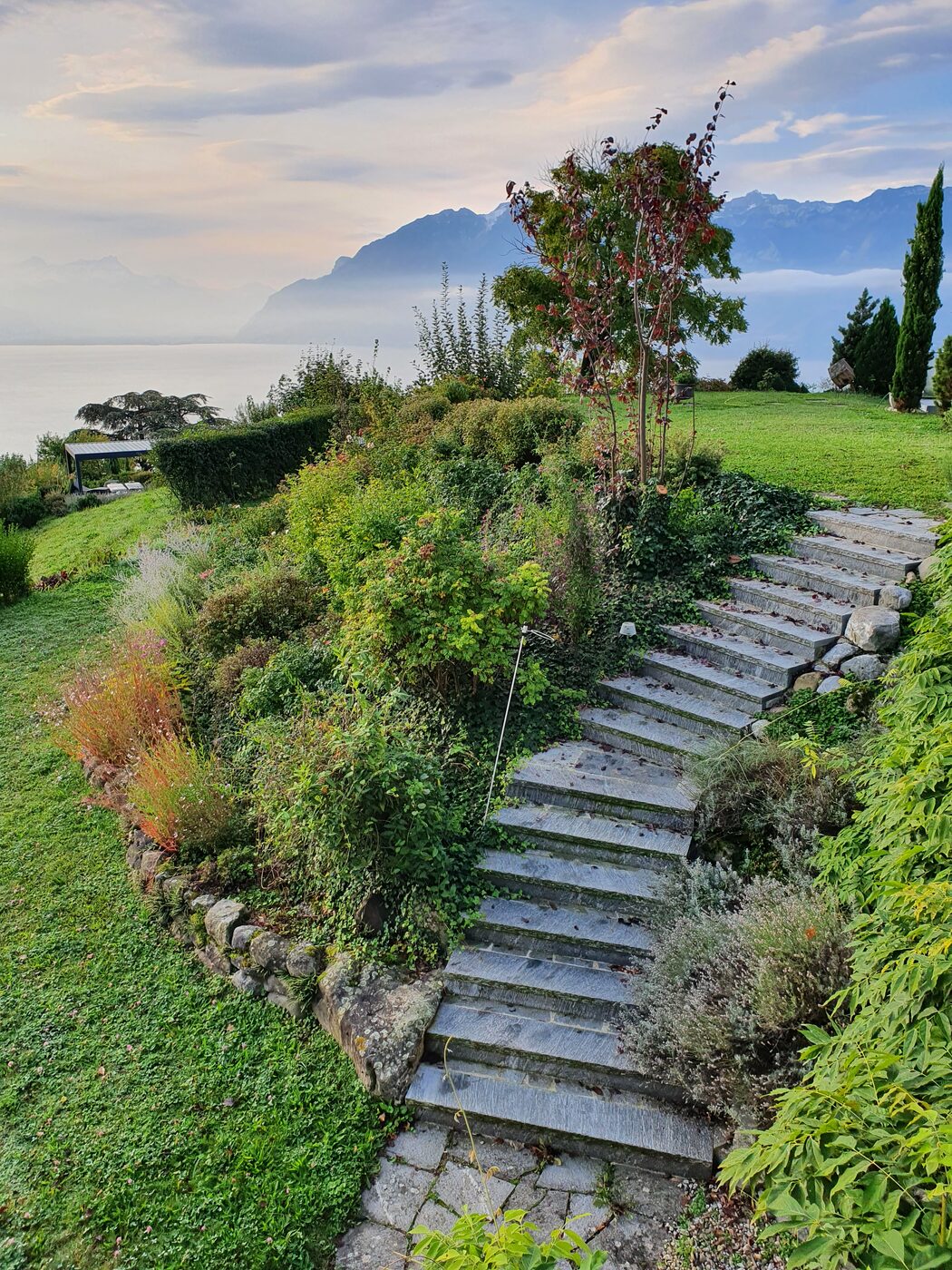Stone steps and structured garden
