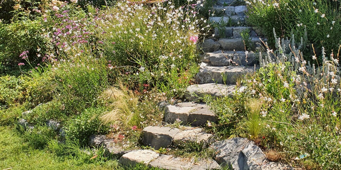 Terrasse en pierre et plantations souples 2